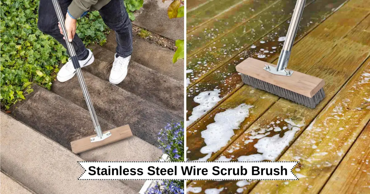 Stainless Steel Wire Scrub Brush,जमीन पर जमे हो जिद्दी दाग या काई, इन ...