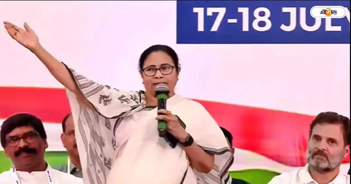 INDIA Alliance : ইন্ডিয়া জোটের নামকরণ কার? জানিয়ে দিলেন মমতা বন্দ্যোপাধ্যায় – mamata banerjee has claimed that she was naming the india alliance