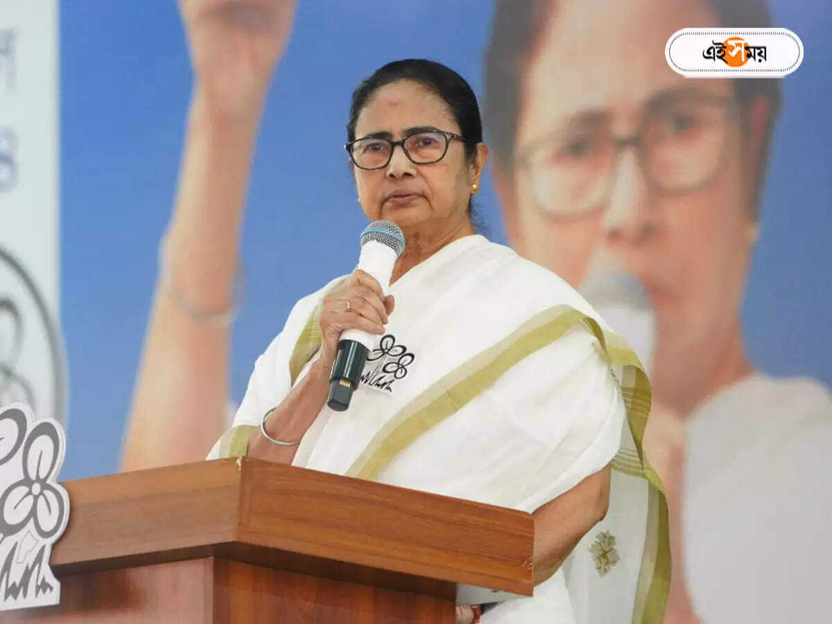 Mamata Banerjee News : ‘আরাবুল, শাহজাহানকে জেলে ঢুকিয়েছি, ওঁরা এক গুণ্ডাকে মন্ত্রী করেছ’, ফের নিশীথকে নিশানা মমতার – mamata banerjee attacks nisith pramanik from her lok sabha rally