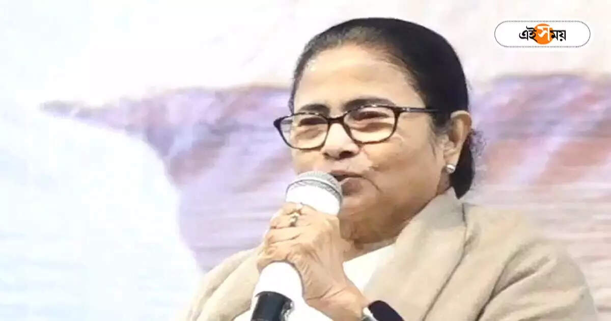 Mamata Banerjee : ‘ছেলেরা লিপস্টিক পরে জানতাম না…!’ কাদের কটাক্ষ করলেন মমতা? – mamata banerjee criticises opposition parties representatives for their make up on television programme