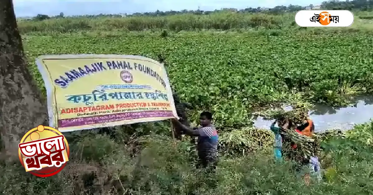 Hooghly News,কচুরিপানাই আয়ের উৎস, সৌখিন সামগ্রী বানিয়ে স্বনির্ভর হুগলির মহিলারা – hooghly self help group women making various product with water hyacinth good news Hooghly News,কচুরিপানাই আয়ের উৎস, সৌখিন সামগ্রী বানিয়ে স্বনির্ভর হুগলির মহিলারা – hooghly self help group women making various product with water hyacinth good news