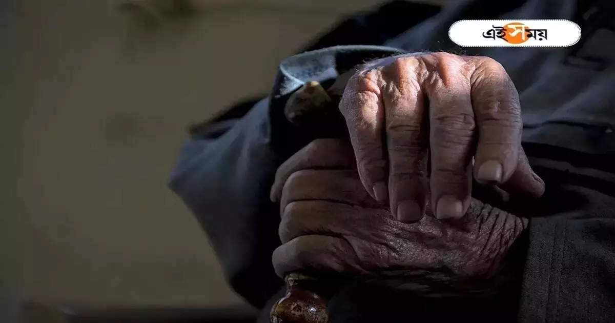 Old Age Pension : বার্ধক্য ভাতা চেয়ে প্রথম দিনেই ১৫ হাজার আবেদন, বহু মানুষের ভিড় শিবিরগুলোয় – old age allowance scheme launched by abhishek banerjee in the diamond harbor lok sabha constituency received 15000 applications on the first day
