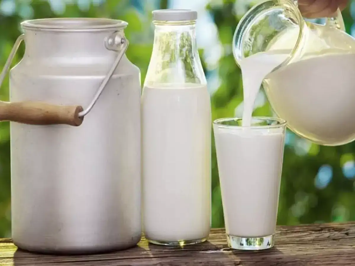 உலக பால் தினம்: பால் வளத்தைப் பெருக்க சிறப்பு நிகழ்ச்சி! 