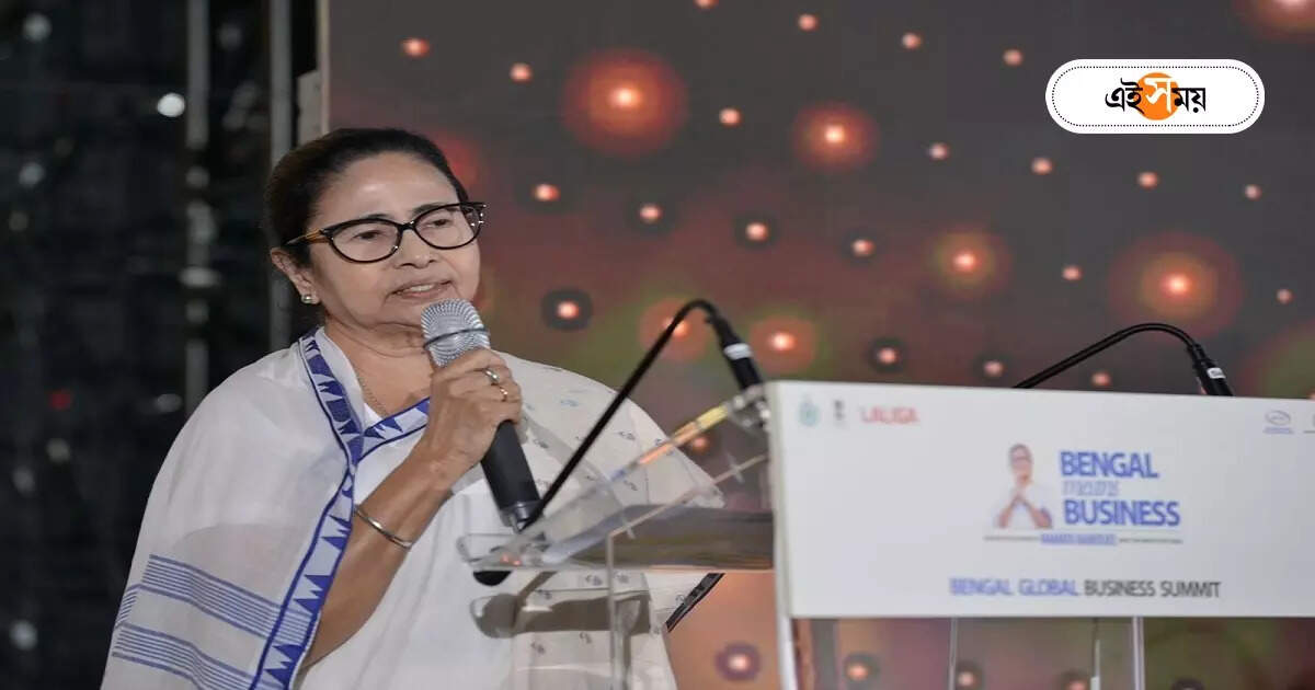 Mamata Banerjee Spain : লা লিগার সঙ্গেও মউ-ক্রিসমাসের মধ্যেই বাংলায় উৎপাদন শুরু স্পেনের টেক্সটাইল সংস্থাও, জানালেন মমতা – mamata banerjee meeting with spanish textile company and la liga at spain