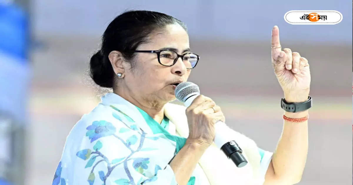 Mamata Banerjee : ‘অভিযুক্ত সবাই গ্রেফতার হবে’, সন্দেশখালি নিয়ে স্পষ্ট জবাব মুখ্যমন্ত্রীর – cm mamata banerjee said all convicted will be arrested in sandeshkhali incident