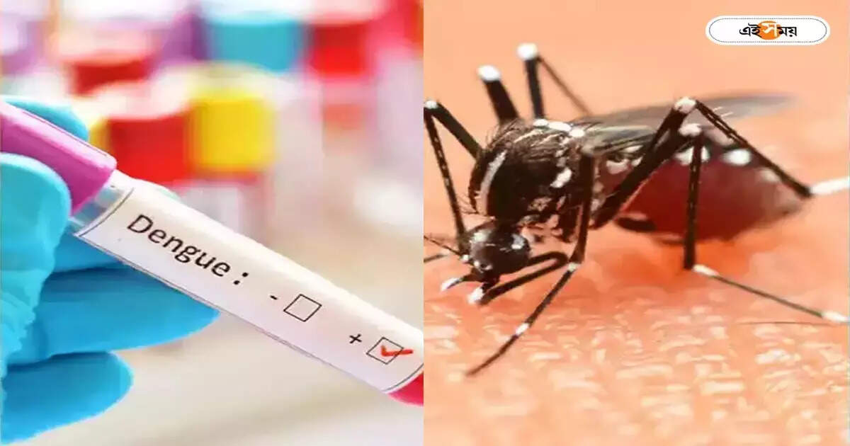 Dengue Symptoms : ডেঙ্গি: দুশ্চিন্তা দক্ষিণ দমদমে, পরিস্থিতি মোকাবিলায় নজরদারি – dengue cases are increasing in south dumdum