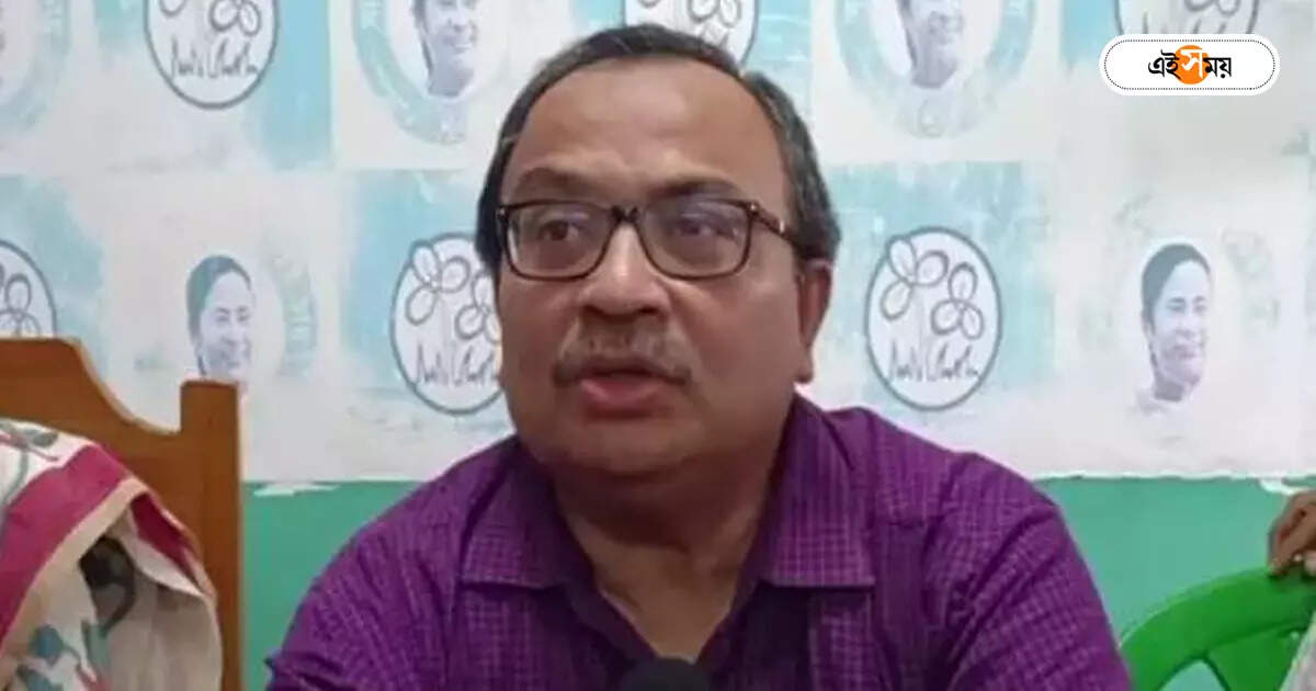 Kunal Ghosh : এমপি-এমএলএ হতেই হবে? কুণালের প্রশ্নে দলের সিনিয়র সদস্যরা – tmc state general secretary kunal ghosh expressed doubts about the logic of mamata banerjee message