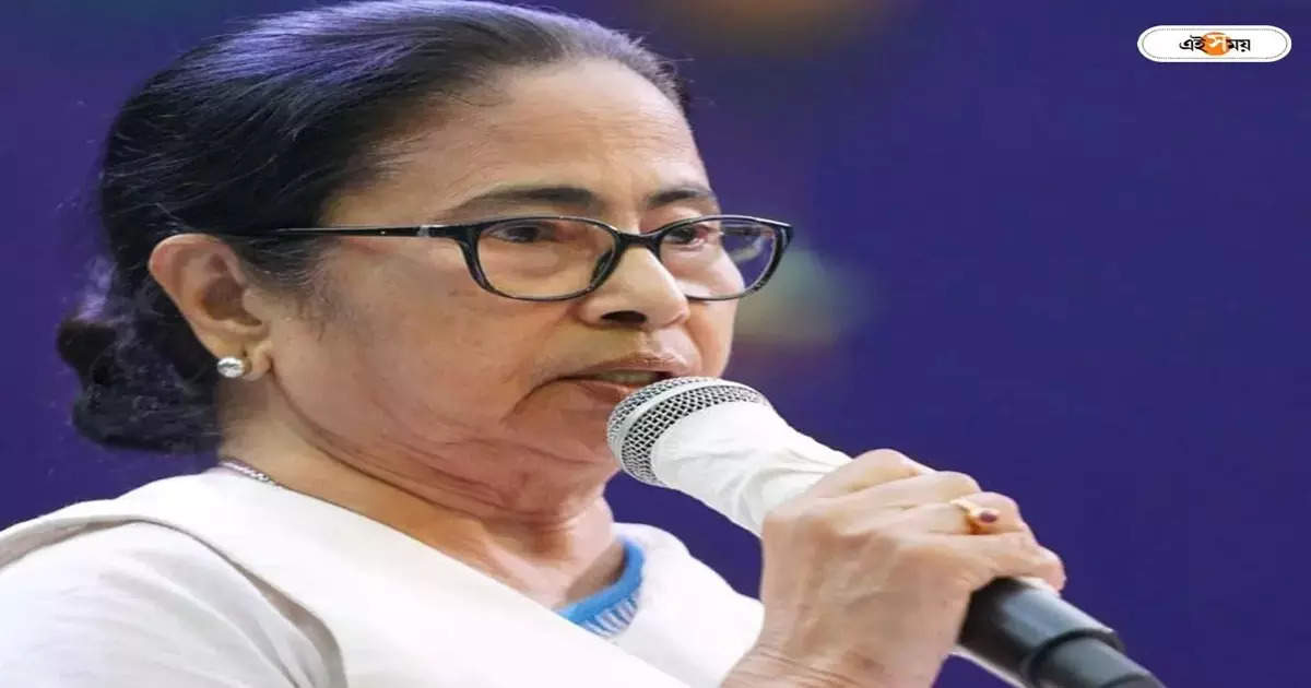 Mamata Banerjee : ‘গুণ্ডা যারা ভাড়া করে তাদের বিরুদ্ধে আগে ব্যবস্থা,’ প্রশাসনকে সাফ নির্দেশ মুখ্যমন্ত্রীর – cm mamata banerjee orders administration to take action against miscreants to maintain law and order