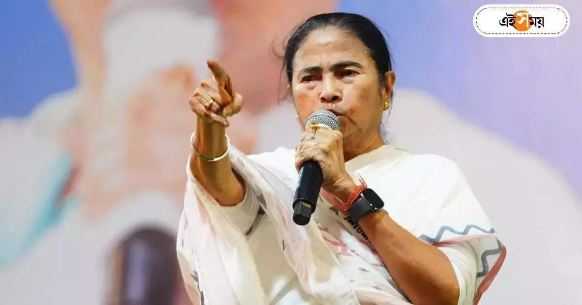 Mamata Banerjee: একটা ছিঃ সরকার! দিদির বেনজির আক্রমণ মোদী-শাহকে – west bengal cm mamata banerjee attacks on bjp in lok sabha election campaign advertisement issue