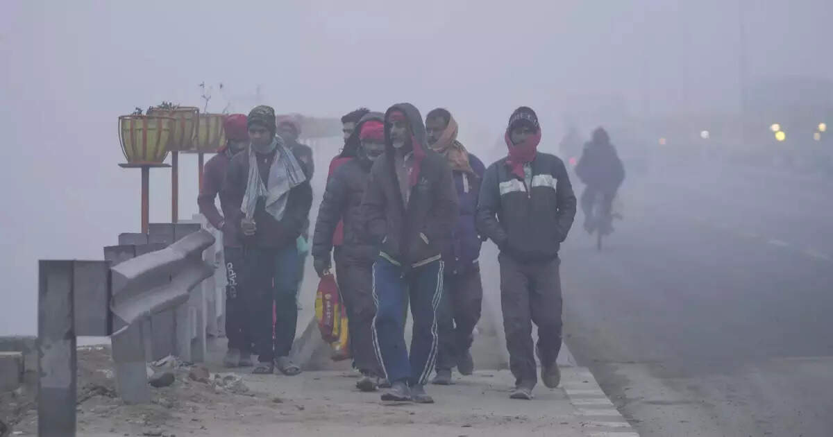 CG Weather News: छत्तीसगढ़ में उत्तरी हवाओं के असरसे रात में बढ़ी ठंड, जानें आज कैसा रहेगा मौसम का ताजा हाल