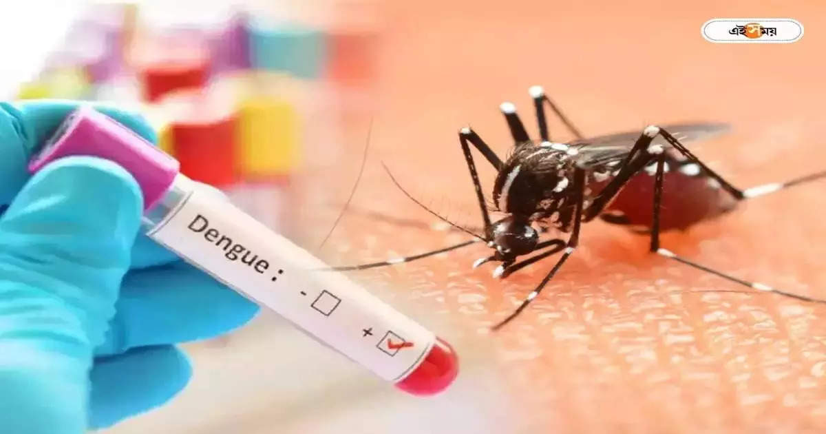 Dengue In Kolkata : বিধাননগরে ডেঙ্গির বাড়বাড়ন্ত, উদাসীন অভিজাত নাগরিকরা – dengue outbreak is gradually increasing across bidhannagar