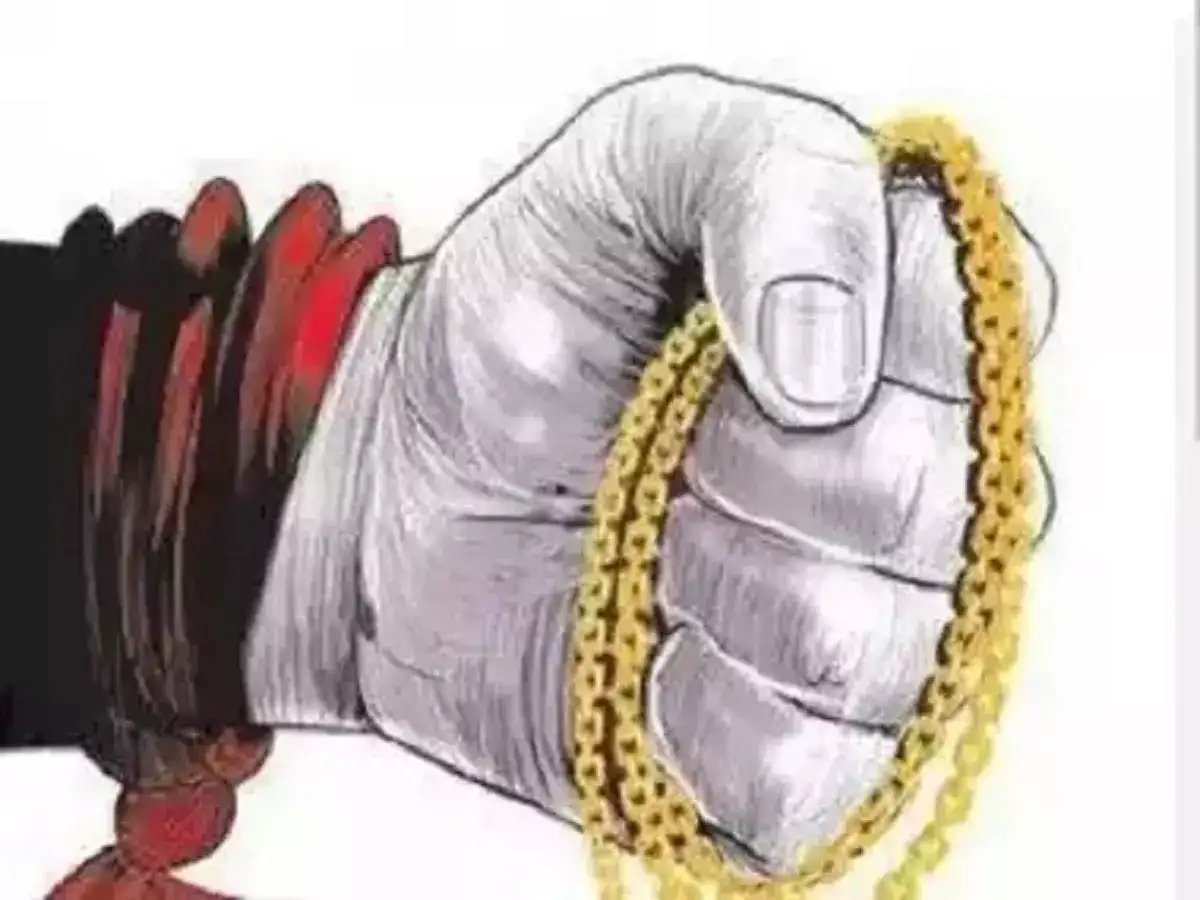 வெள்ளகோவில் அருகே 41 பவுன் தங்க நகை கொள்ளை - முகமூடி கொள்ளையில் ஈடுபட்ட 4 பேர் 