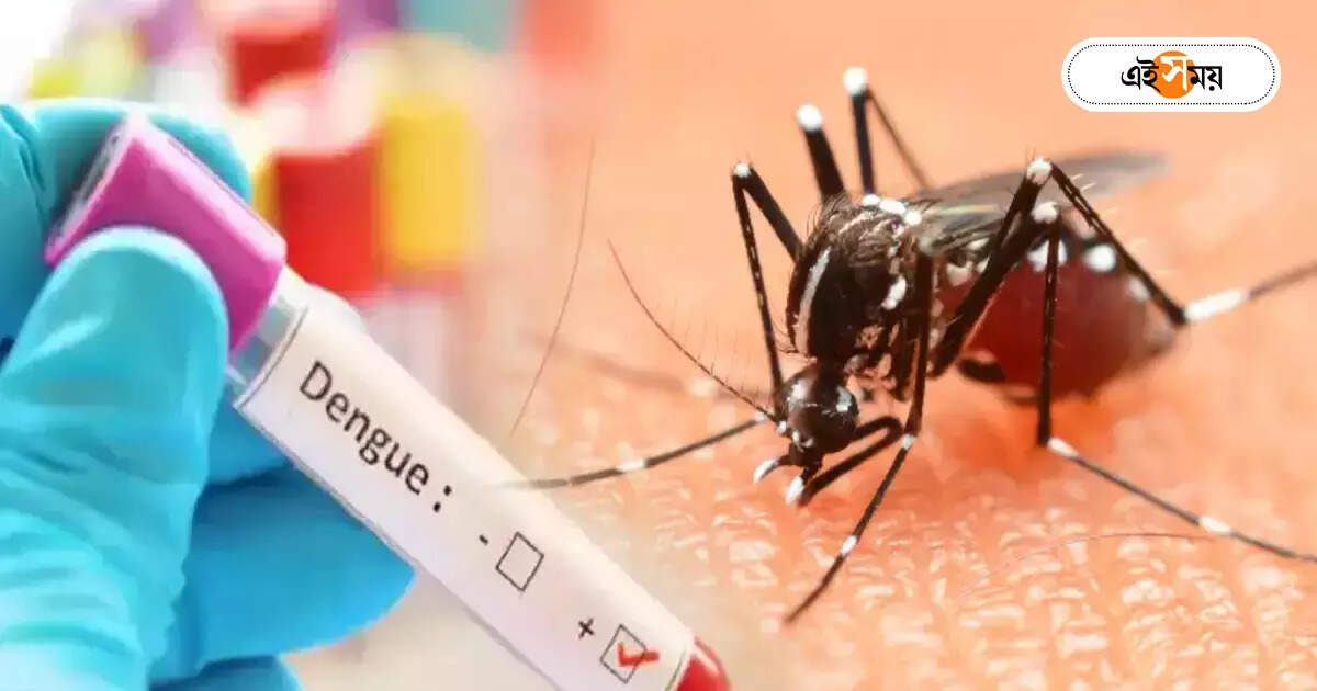 Dengue Fever : সাত দিনের শিশুকে রেখে ডেঙ্গির বলি মা, মৃত ছাত্রীও – two person lost life due to lack of timely treatment in dengue