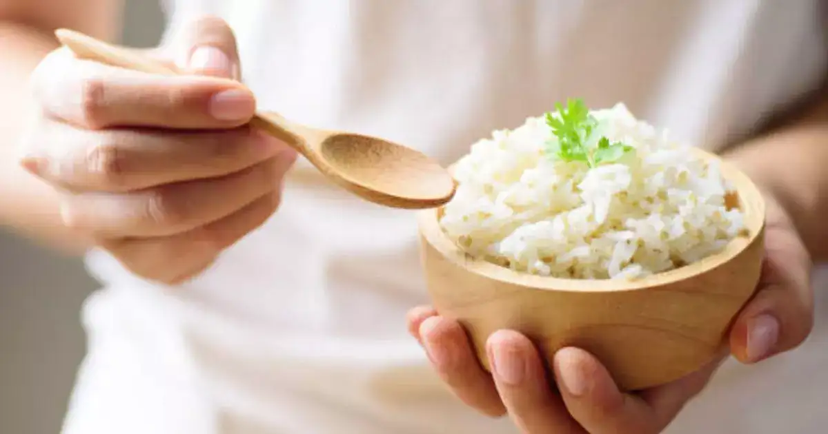 अमेरिकन समय के अनुसार जानें आपके लिए चावल खाने का सबसे बेहतरीन समय कौन सा है? - what is the best time to consume rice in the morning or night know here