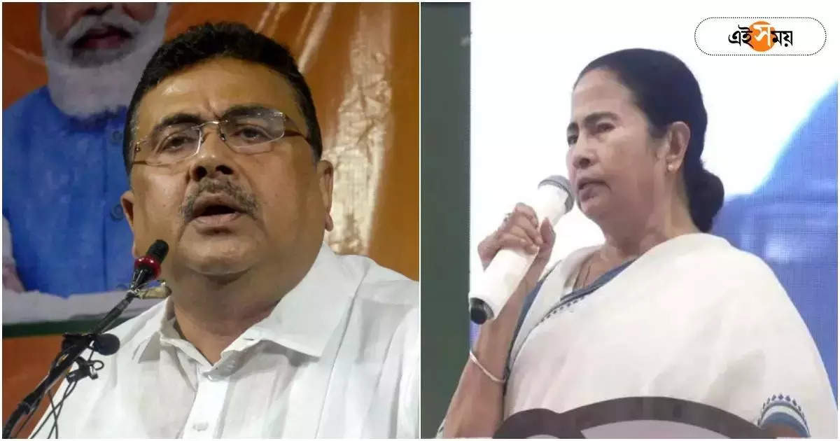 Mamata Vs Suvendu : ‘লাইট বন্ধ করে জয়’, নন্দীগ্রাম নিয়ে শুভেন্দুকে আক্রমণ মমতার! ‘ভাঙা রেকর্ড’, পালটা শুভেন্দু – mamata banerjee and suvendu adhikari attacked on each other on nandigram assembly election 2021 result