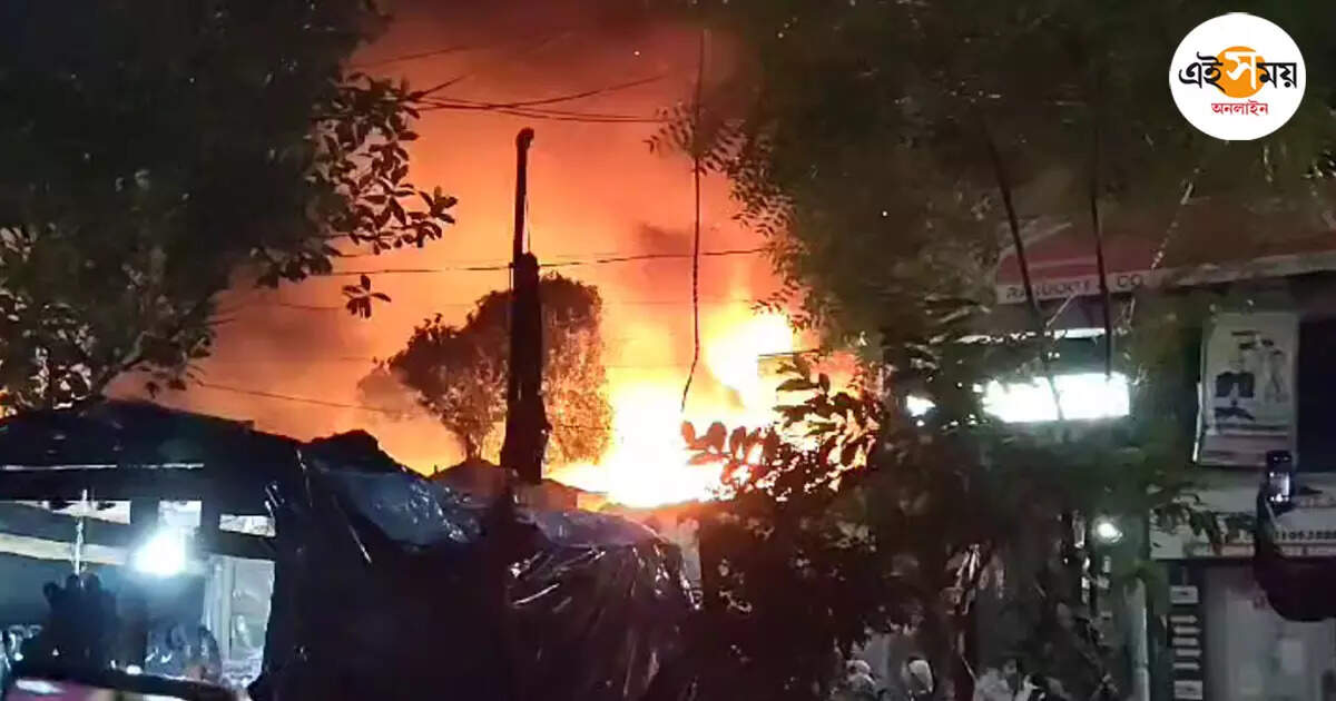 Kolkata Fire Incident: টেরিটি বাজারের কাছে বিধ্বংসী অগ্নিকাণ্ড, ১৫টি ইঞ্জিনের চেষ্টায় আগুন নিয়ন্ত্রণে – kolkata fire incident at barabazar police station area at ezra street