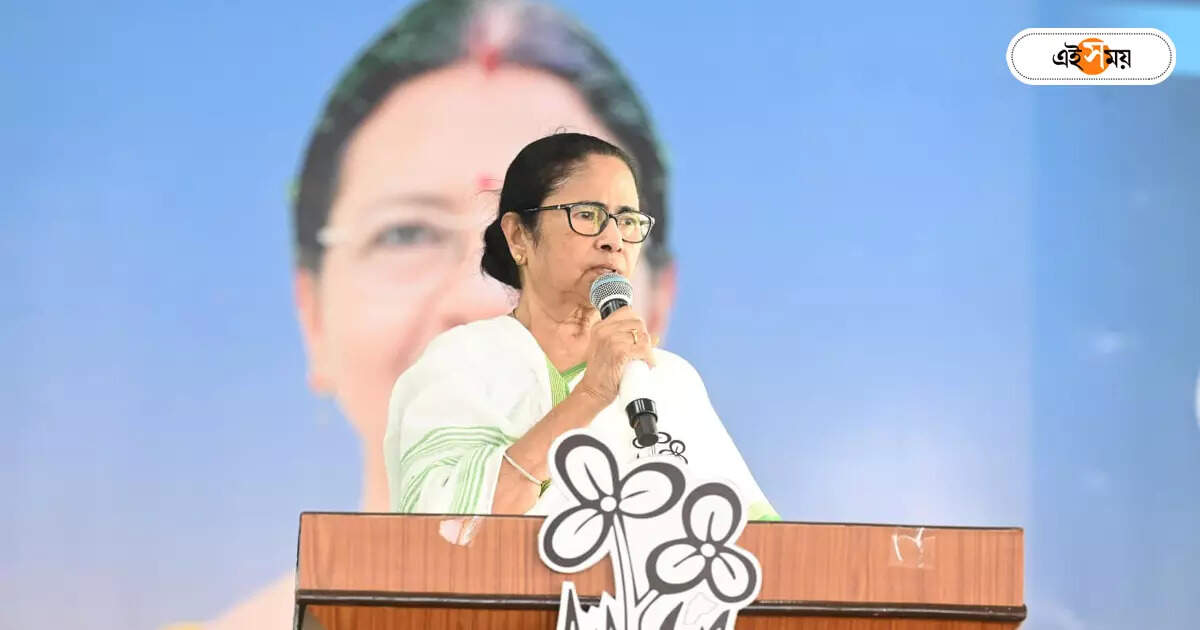 Mamata Banerjee : কাজ ফেলে রাখা যাবে না, মন্ত্রীদের স্পষ্ট বার্তা মমতার – cm mamata banerjee message to west bengal ministers work cannot be left behind