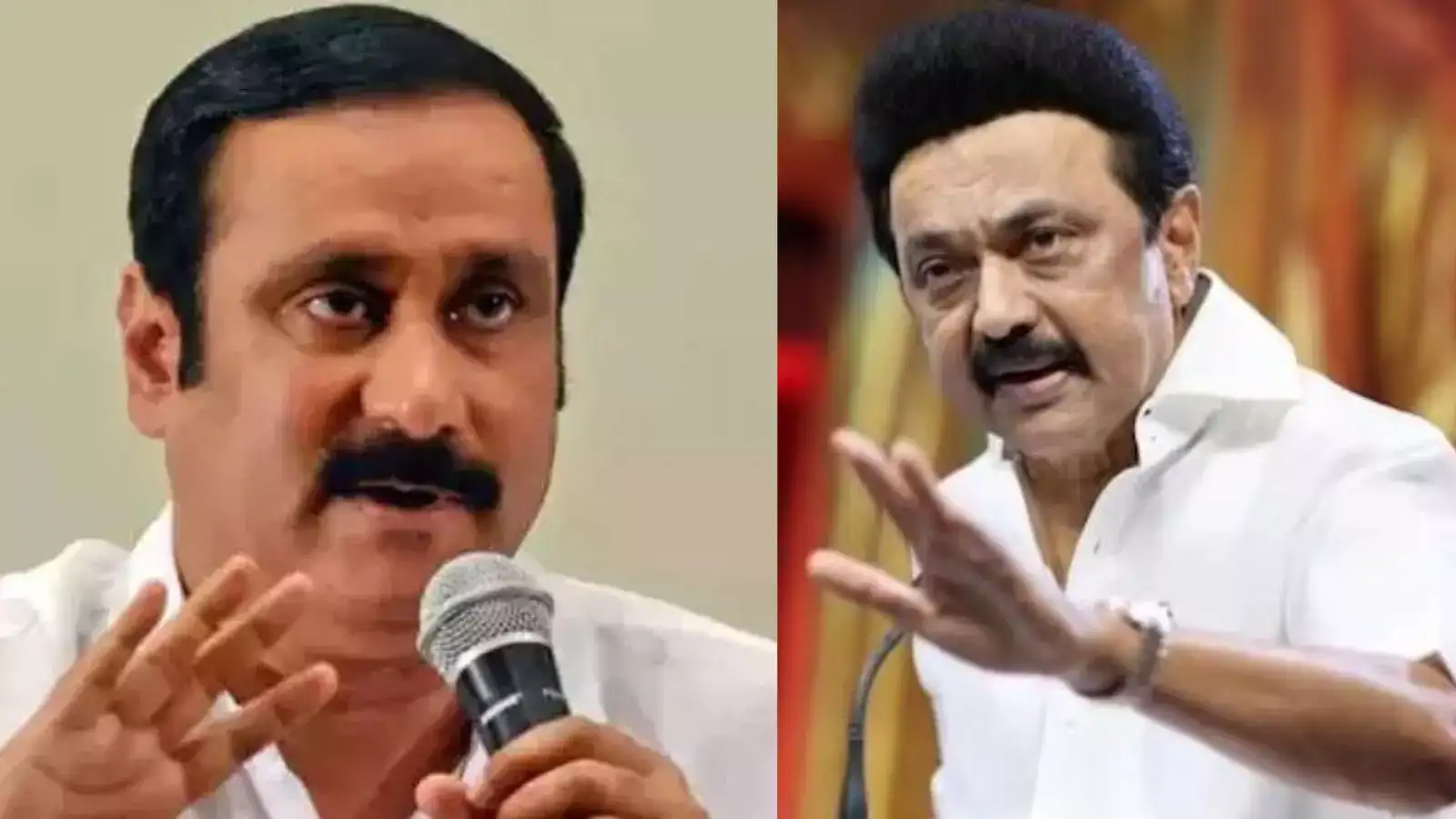 டாவோஸ் பொருளாதார மாநாட்டில் '0' முதலீடு: இதுதான் திராவிட மாடல் சாதனையா? கிழித்து தொங்கவிட்ட அன்புமணி! 