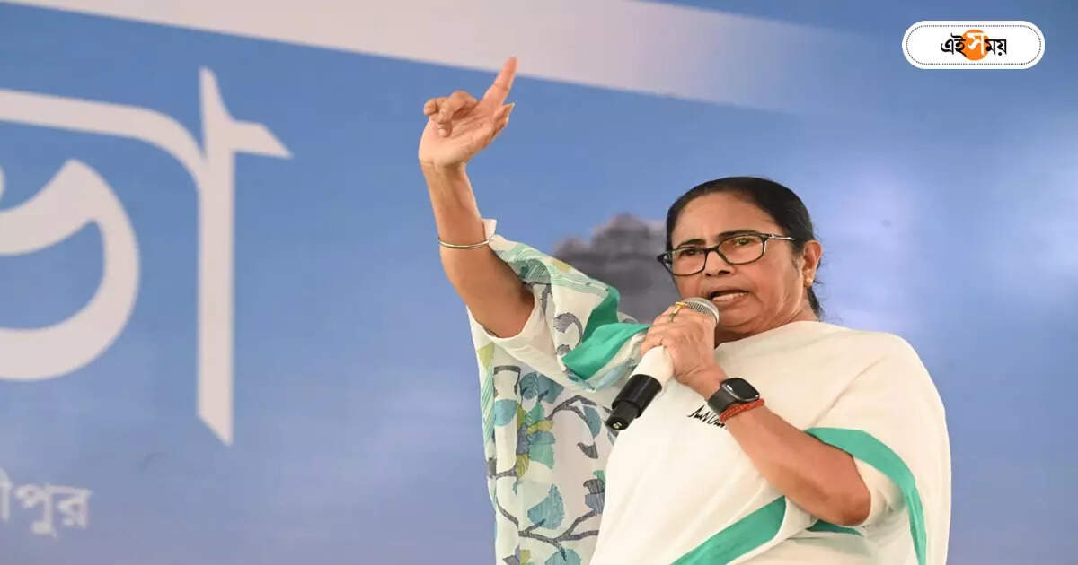 Mamata Banerjee News,CPIM-এর কাছে আত্মসমর্পণের প্রশ্ন নেই, কংগ্রেসকে বারণ করেছিলাম: মমতা – mamata banerjee talks about alliance with congress while campaigning for lok sabha election in malda