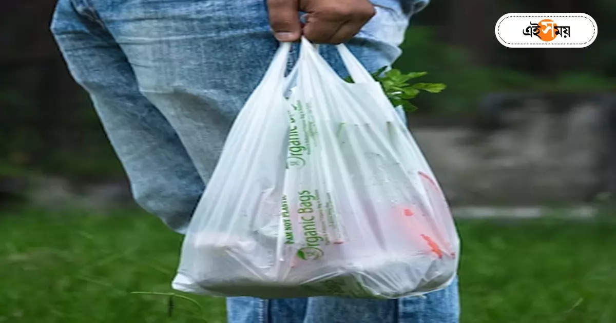 Plastic Bag : প্লাস্টিক ব্যাগ বন্ধে পুজোর পর জরিমানার পুর-ভাবনা – kolkata municipal corporation wants to fine rs 500 and user rs 50 for plastic carry bags below 20 microns