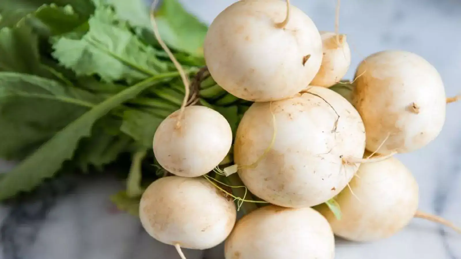 நூக்கல் விலை சரிவு.. சென்னையில் இன்றைய காய்கறி விலை! 