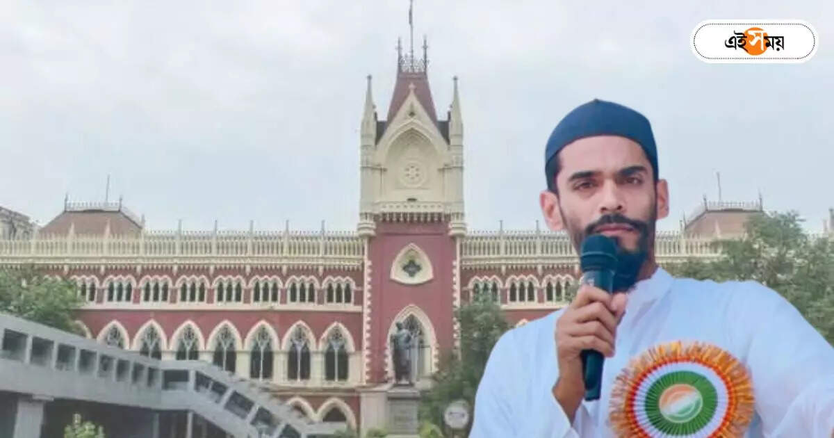 Nawsad Siddiqui : নওশাদের হাইকোর্ট স্বস্তি! ধর্ষণের অভিযোগে বিধায়ককে রক্ষাকবচ আদালতের – calcutta high court ordered to give protection to bhangar isf mla nawsad siddiqui
