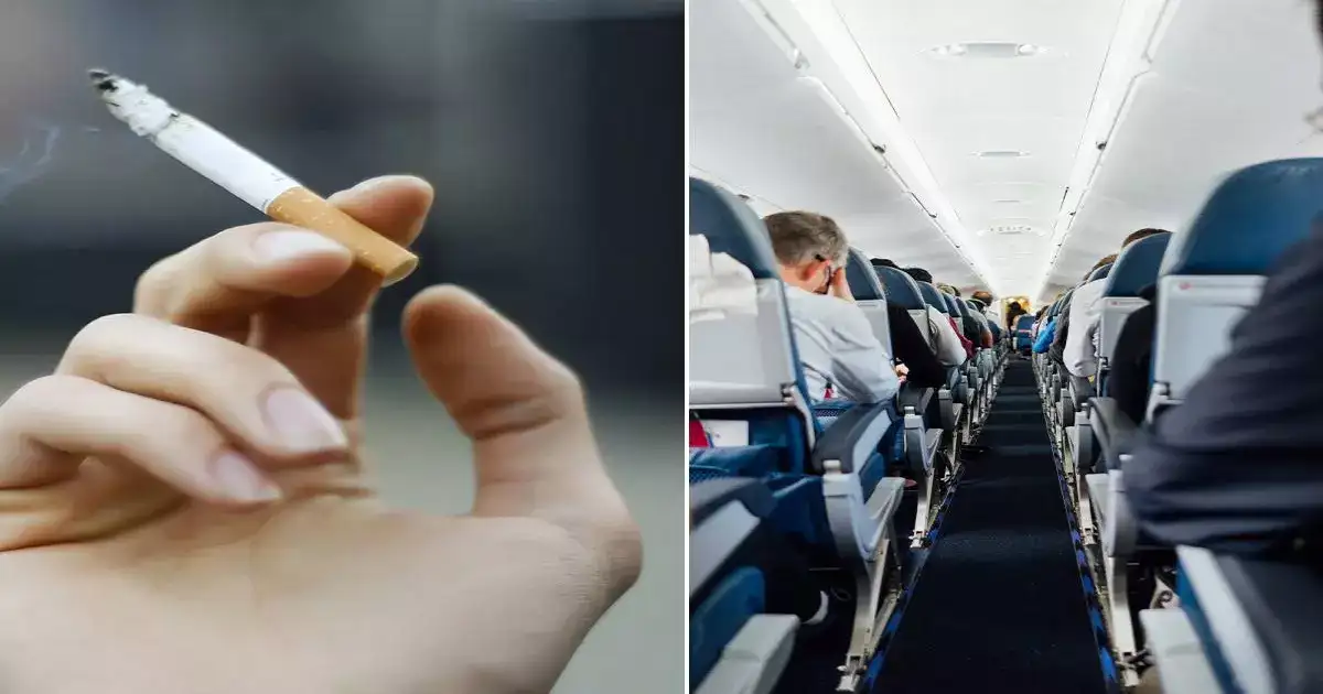 Can I Bring Cigarettes On An Airplane,Flight में ना ले जाएं छुपते
