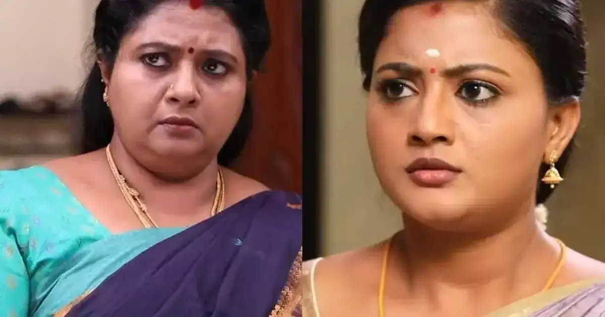 சிறகடிக்க ஆசை: மீனாவை அவமானப்படுத்திய சிந்தாமணி..விஜயா எடுக்க போகும் முடிவு என்ன? 