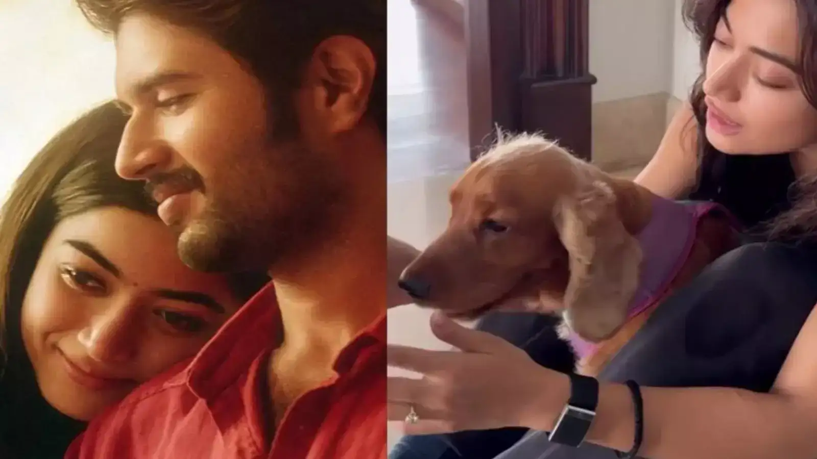 ഇത് മനഃപൂർവ്വം തന്നെ ചെയ്യുന്നതാണ്! പരസ്യമായി പറഞ്ഞില്ലെങ്കിൽ എന്താണ് ഈ ഡയമണ്ട് റിങ്ങിൽ എല്ലാം ഉണ്ട്; പുത്തൻ വീഡിയോ