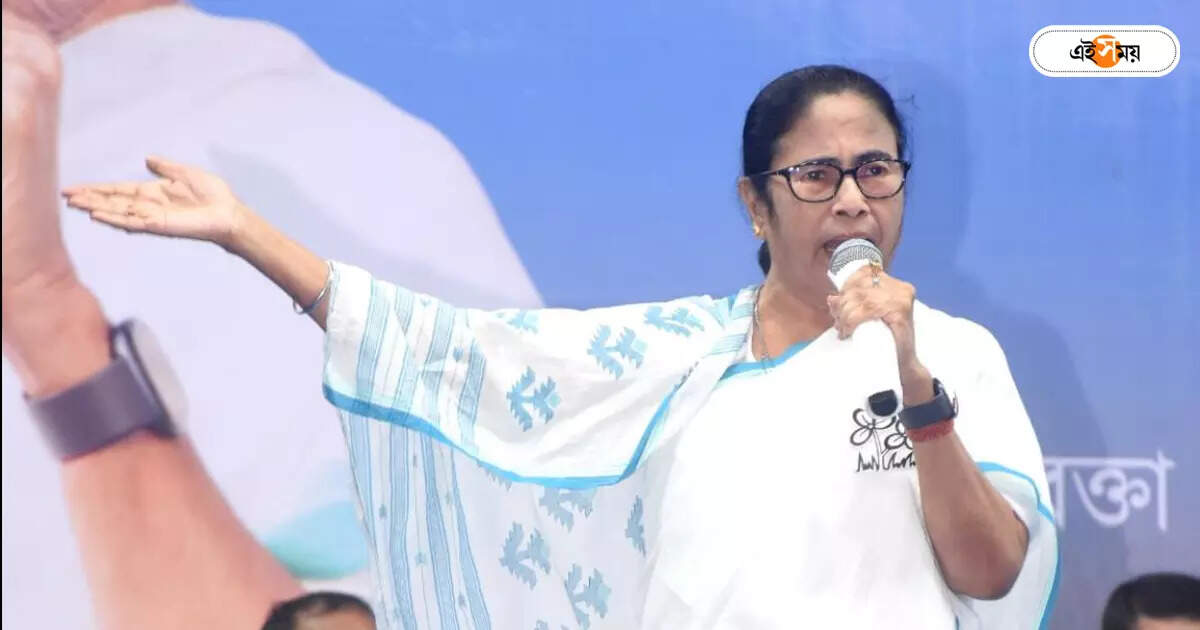 Mamata Banerjee : হিডকোর প্লট বণ্টন থেকে জমির চরিত্র বদল, আমলাদের করা বার্তা মুখ্যমন্ত্রীর – cm mamata banerjee message to hidco plot distribution about changing character of land