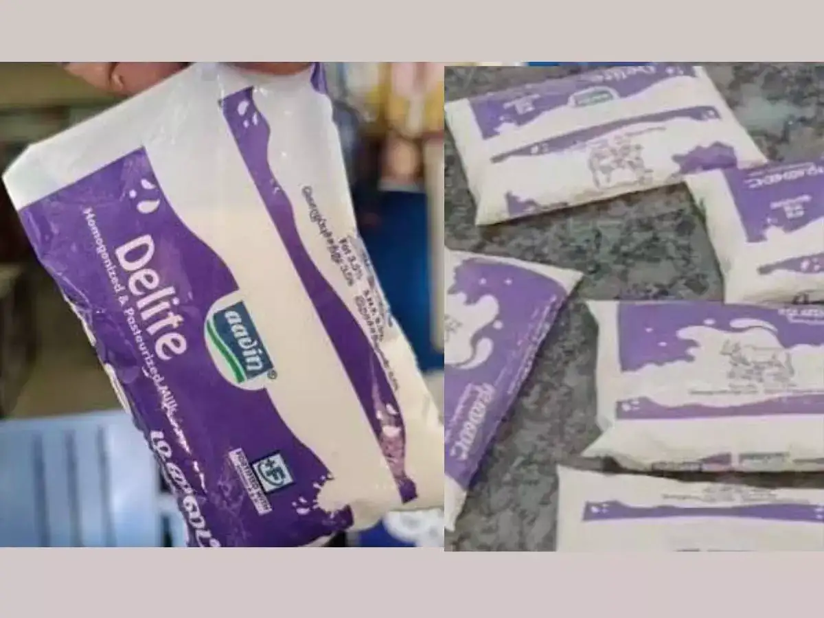 ஆவின் டிலைட் : 10 ரூபாய் பால் பாக்கெட் விற்பனை இன்று தொடக்கம்! 