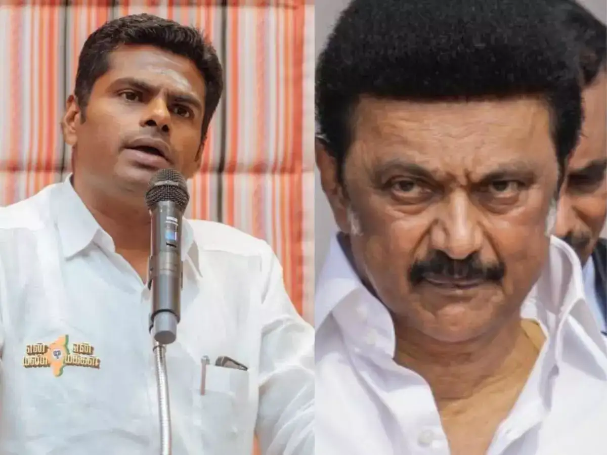 திருடனுக்கு தேள் கொட்டியதுப்போல் வேடிக்கை பார்க்கும் திமுக.. சரமாரியாக விளாசும் அண்ணாமலை! 