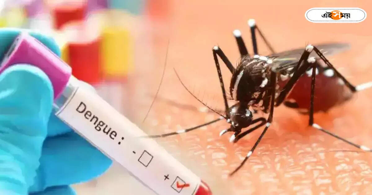 Dengue in Kolkata : কলকাতায় ফের ডেঙ্গি আক্রান্তের মৃত্যু, সাত দিন জ্বরে ভুগে প্রাণ হারাল কিশোরী – dengue affected girl expired at mr bangur hospital