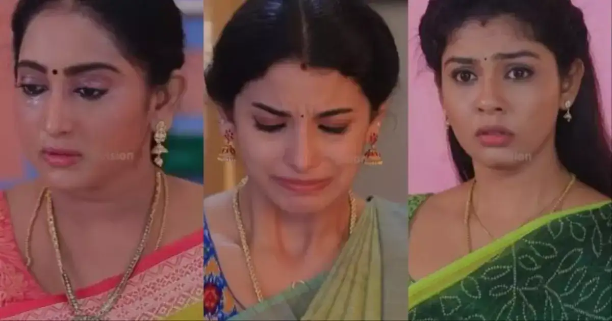 வீடேறி வந்து மிரட்டிய மல்லி.. கடும் அதிர்ச்சியில் முல்லை: குழம்பி தவிக்கும் மீனா.! 