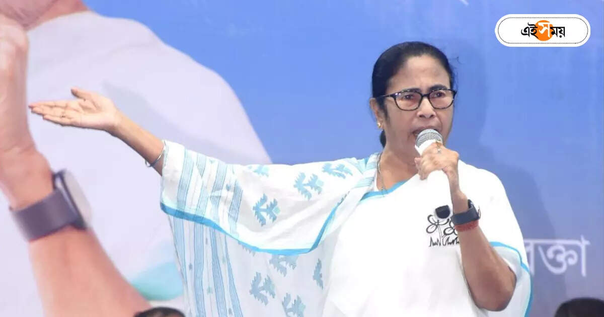 Mamata Banerjee : ‘তৃণমূলের ভোটব্যাঙ্কে চিড় ধরাতে পদ্মের টাকা হাতে’, বিস্ফোরক অভিযোগ মমতার – bjp gave money for crack trinamool vote bank claim cm mamata banerjee