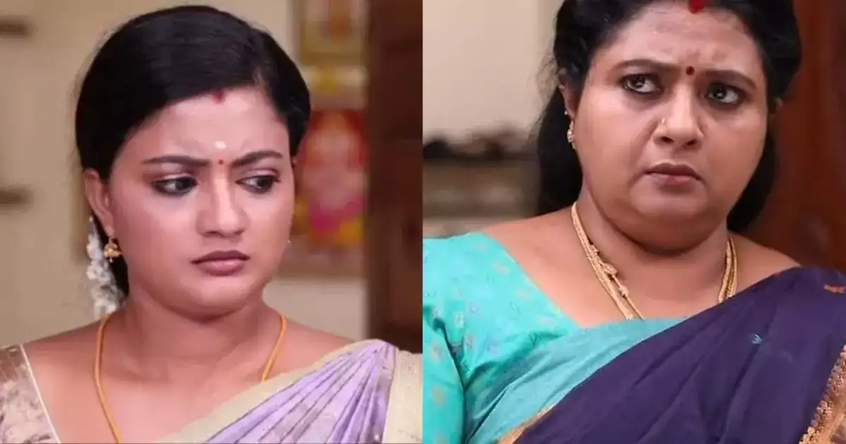 சிறகடிக்க ஆசை: மீனாவுக்கு எதிராக நடக்கும் சதி.. சிந்தாமணியுடன் கூட்டணி சேர்ந்த விஜயா! 