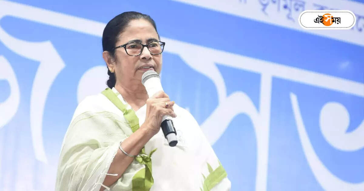 Mamata Banerjee : পুরোনো সাথী বিকাশকে মনে রেখে বার্তা মমতার – lok sabha election 2024 cm mamata banerjee remembers yuba trinamool president vikas bose at palta tmc meeting