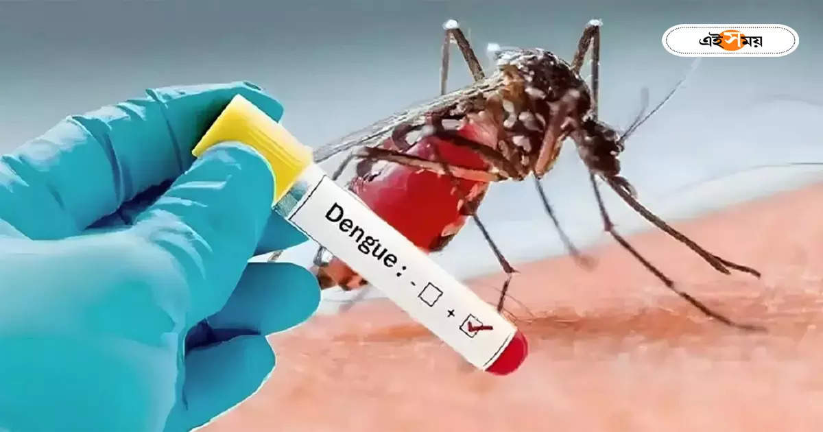 Dengue in Kolkata : ডেঙ্গির ‘হটস্পট’ দমদম? ফের এক বৃদ্ধার মৃত্যু পুর এলাকায় – old lady expired after suffering in dengue from dumdum municipaity