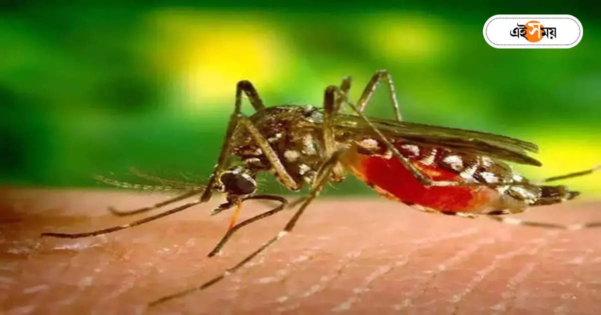 Malaria : ম্যালেরিয়া বাড়ছে গত বছরের দ্বিগুণ গতিতে – malaria is on the rise in kolkata along with dengue