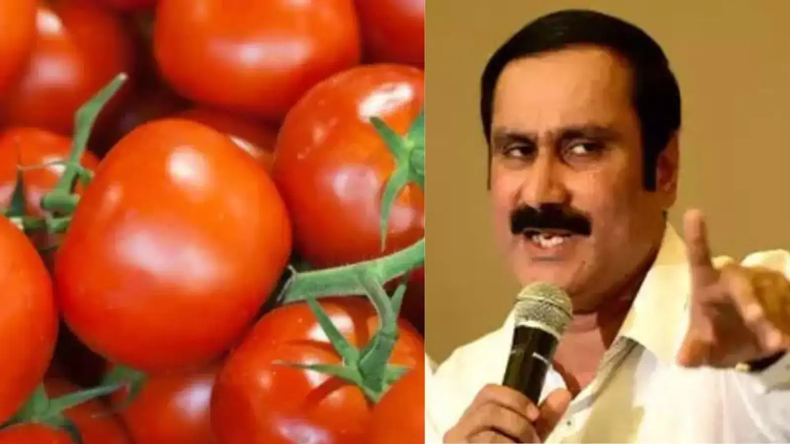 ஒரு கிலோ தக்காளி ரூ. 3க்கு கூட வாங்க ஆளில்லை.. வேதனையில் விவசாயிகள்.. நடவடிக்கை எடுக்குமா தமிழக அரசு? 