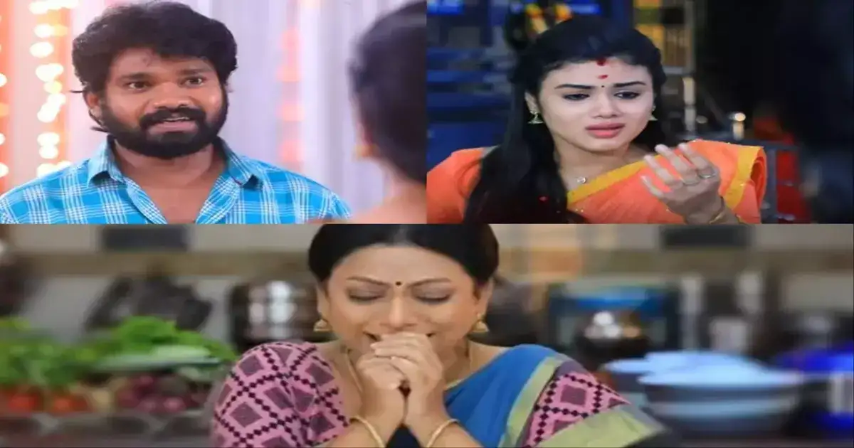 அமிர்தா தலையில் இடியை இறக்கிய கணேஷ்: மொத்த உண்மைகளையும் போட்டுடைத்த பாக்யா.! 