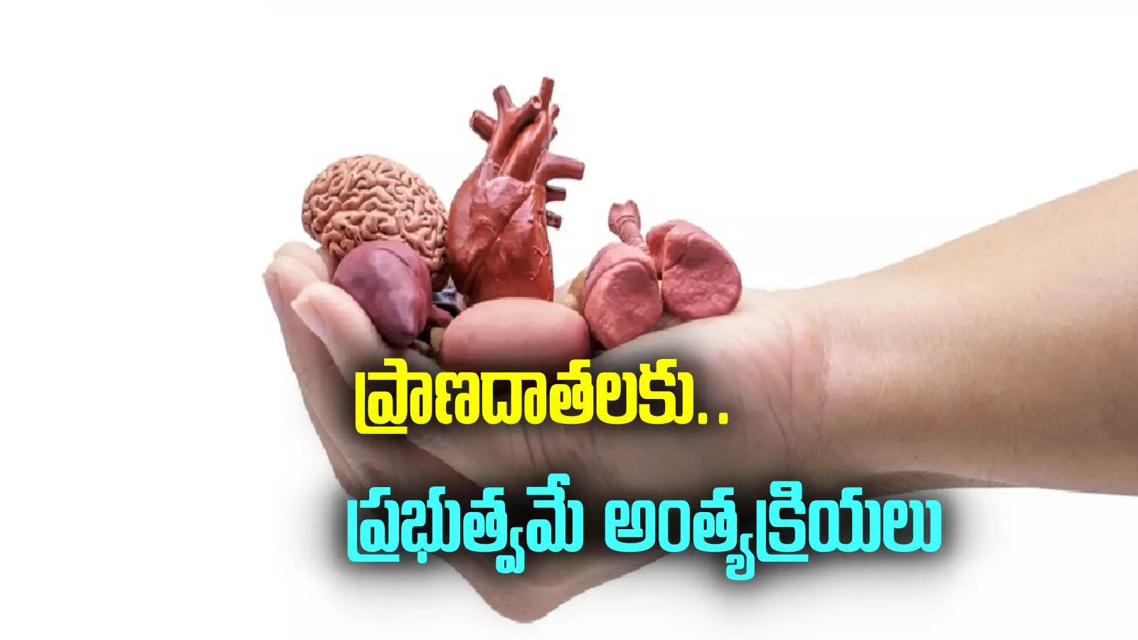 Organ Donation: అవయవదాతలకు గౌరవంగా వీడ్కోలు.. ప్రభుత్వం తరుఫున అంత్యక్రియలు