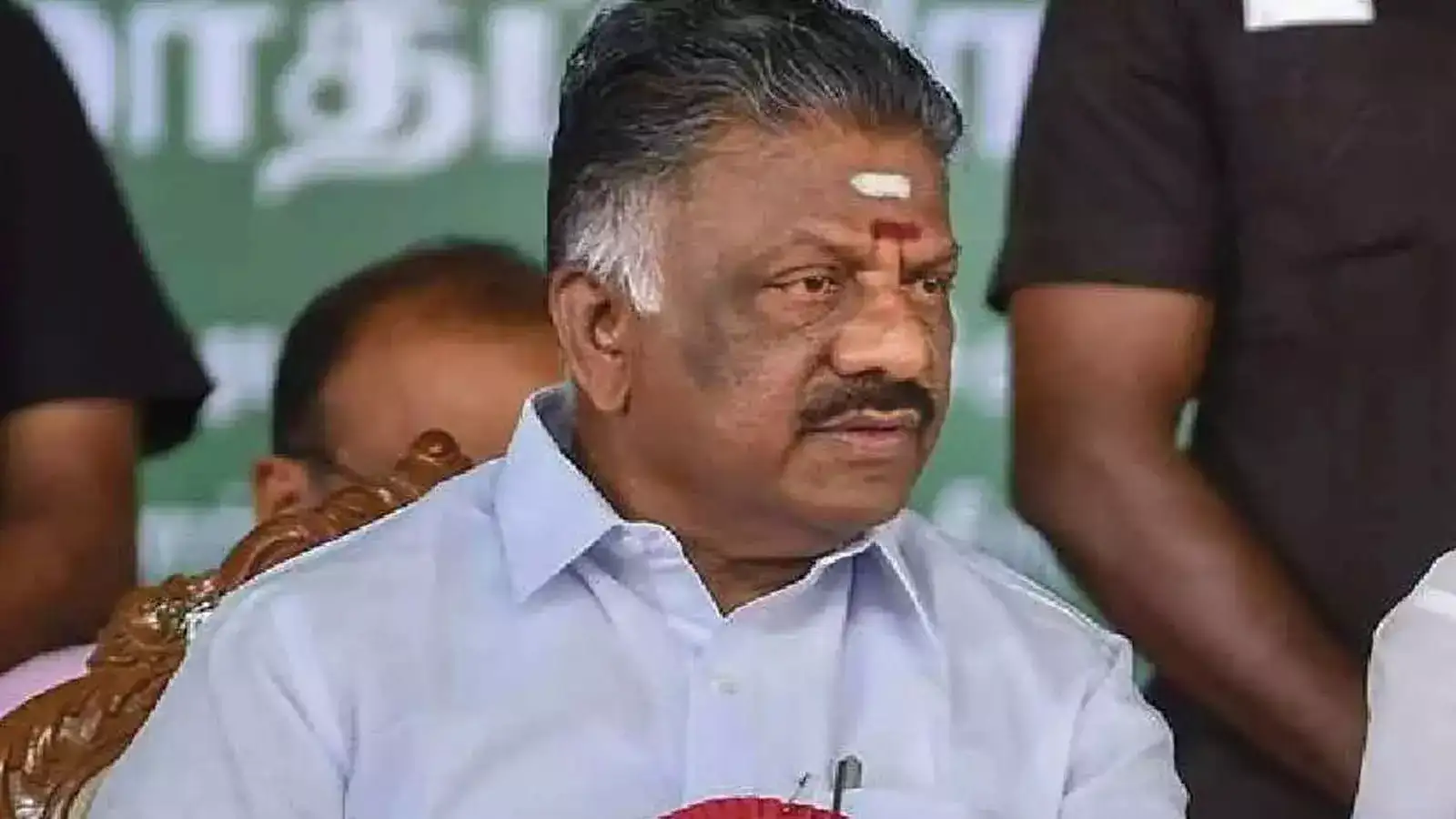 கால்நடைகளால் ஏற்படும் ஆபத்தை கூட கட்டுப்படுத்த முடியாத திறமையற்ற திமுக அரசு! ஓபிஎஸ் காட்டம்! 