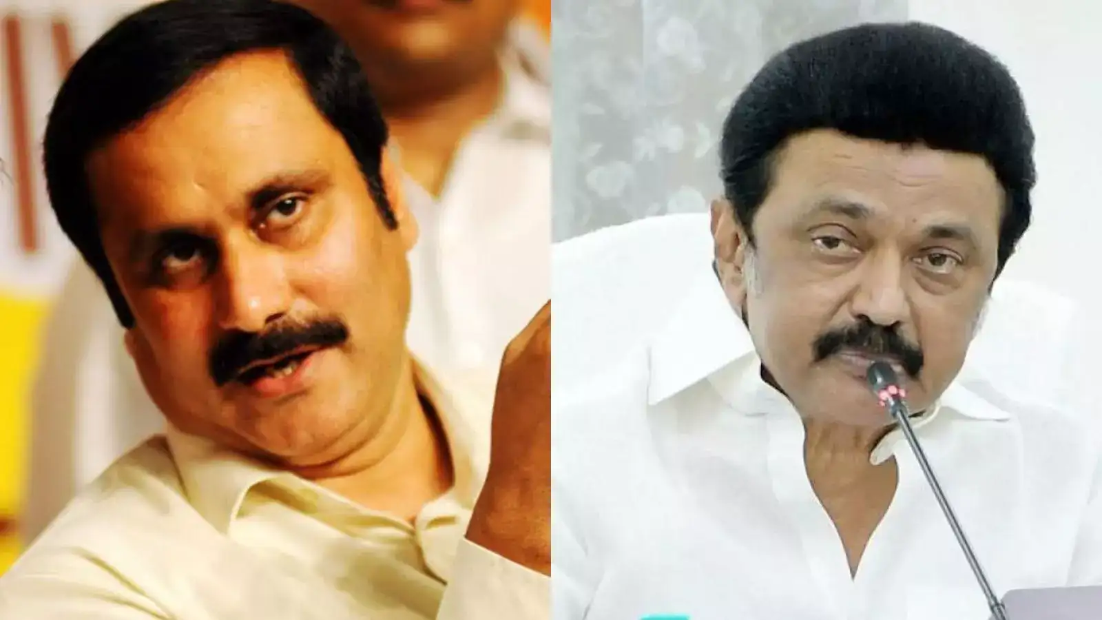 சாதிவாரி கணக்கெடுப்பு: ஸ்டாலின் கூறுவது மோசடி - குற்றம் சாட்டும் அன்புமணி ராமதாஸ் 