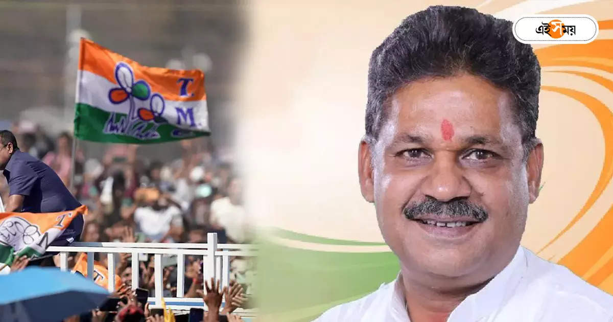 Kirti Azad : কীর্তি ছক্কা হাঁকাবেন, তৃণমূল প্রার্থীকে নিয়ে আশাবাদী দল – lok sabha election kirti azad elected as durgapur tmc candidate