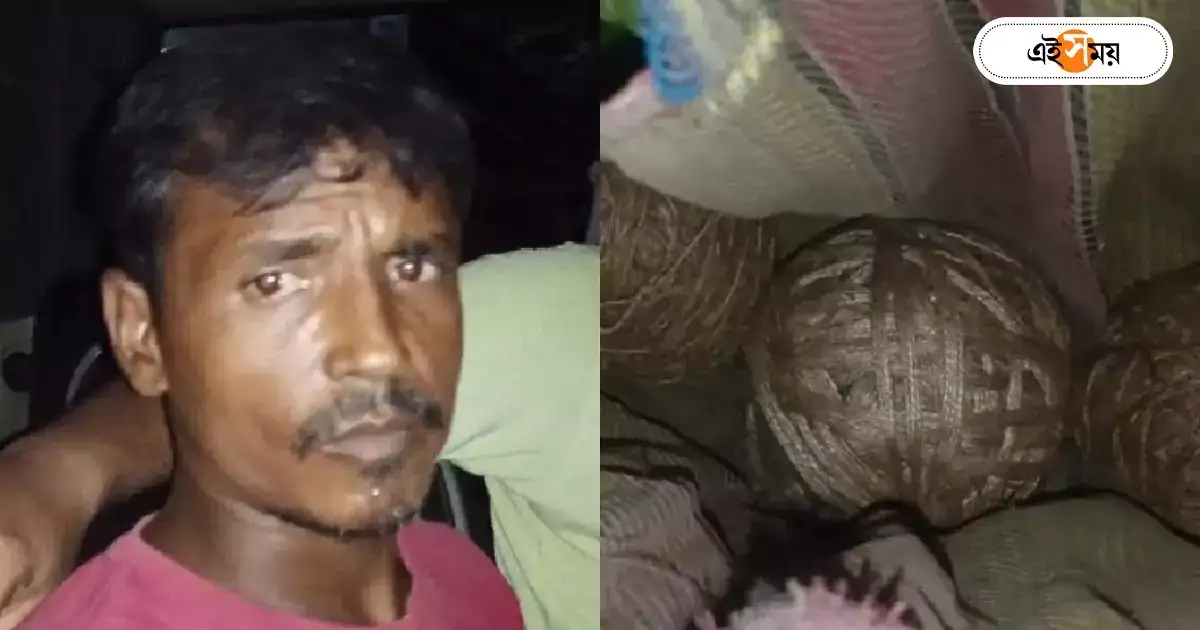 South 24 Parganas News,প্রেম করছেন স্ত্রী! চর্চিত প্রেমিকের বাড়িতে হামলার জন্য বোমা কিনল স্বামী! তারপর… – man arrested with 3 bombs at bhangar south 24 parganas