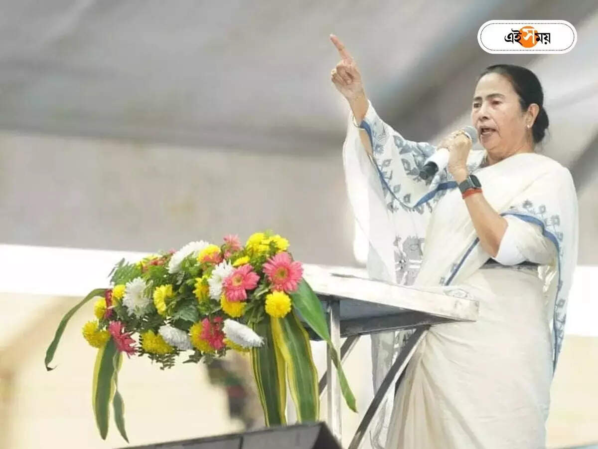 Mamata Banerjee,জয়নগরের মুখ্যমন্ত্রী এলেও পাশে দাঁড়ালেন না, হতাশ ও ক্ষুব্ধ দলুয়াখাকির ক্ষতিগ্রস্তরা – cm mamata banerjee visited jayanagar but daluakhaki people did not come to meeting