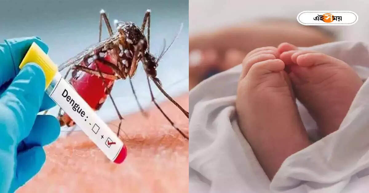 Dengue In Kolkata,পুজোর মুখে বিষাদ! শহরে ডেঙ্গি আক্রান্ত হয়ে মৃত্যু ২ মাসের শিশুর – child death for dengue in kolkata brought mourning situation before durga puja 2023