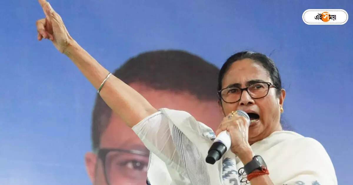 Mamata Banerjee : তোমাদের নাকি টাকা নেই! দিদির তিরে দিল্লি-কংগ্রেসও – cm mamata banerjee criticizes congress in raiganj lok sabha election campaign
