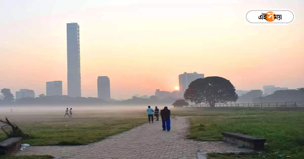 Kolkata Weather Update : সপ্তাহান্তে শীতের কামব্যাক? তাপমাত্রার ওঠানামা কতদিন, জানাল হাওয়া অফিস – weather forecast in kolkata february 8 dry weather will remain for upcoming three days